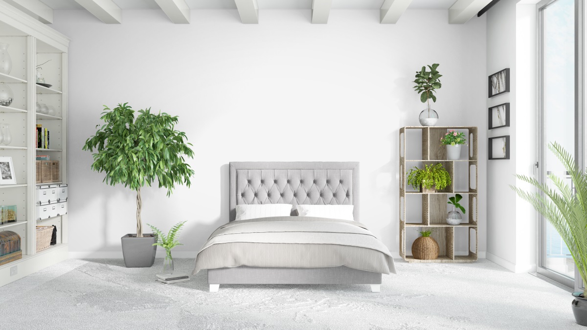 chambre à coucher, peinture , mur blanc, plantes vertes
